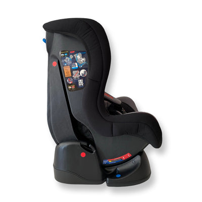 Robins Gray Car Seat