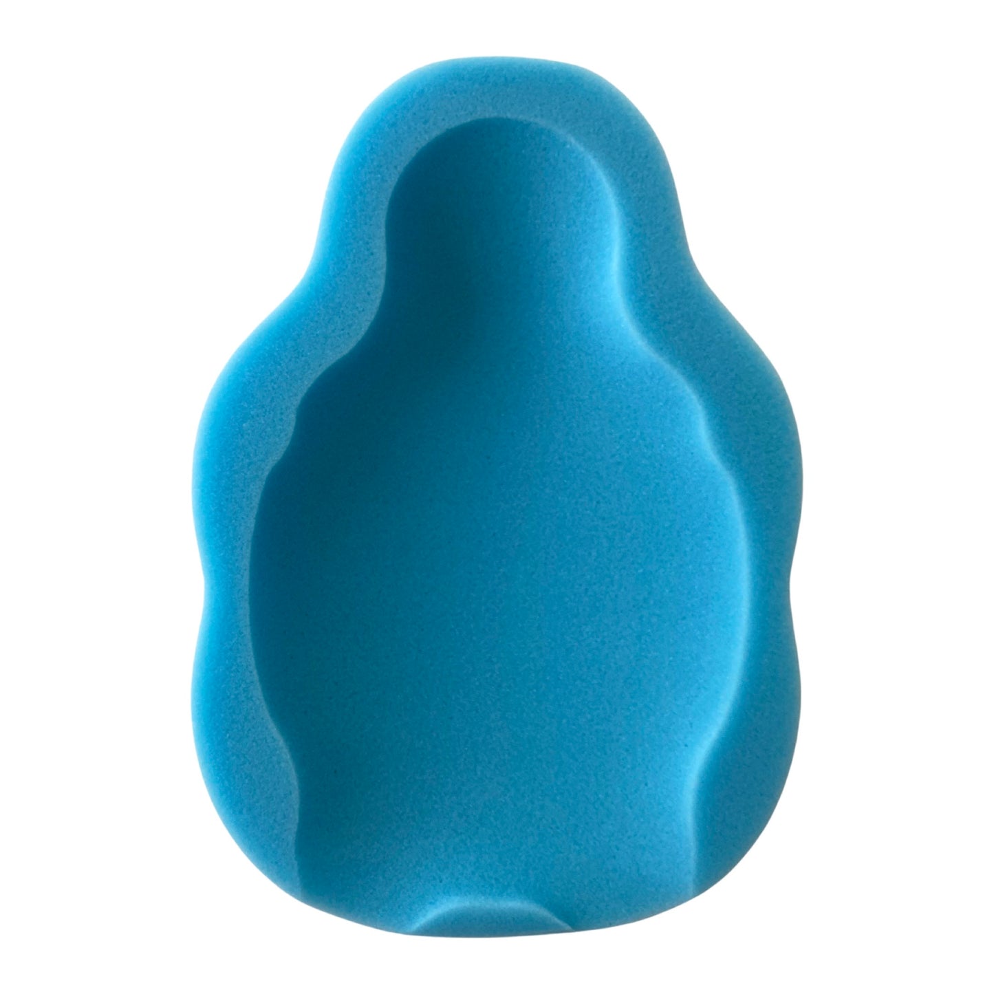 Blue Bath Support Sponge